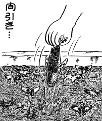間引き・・